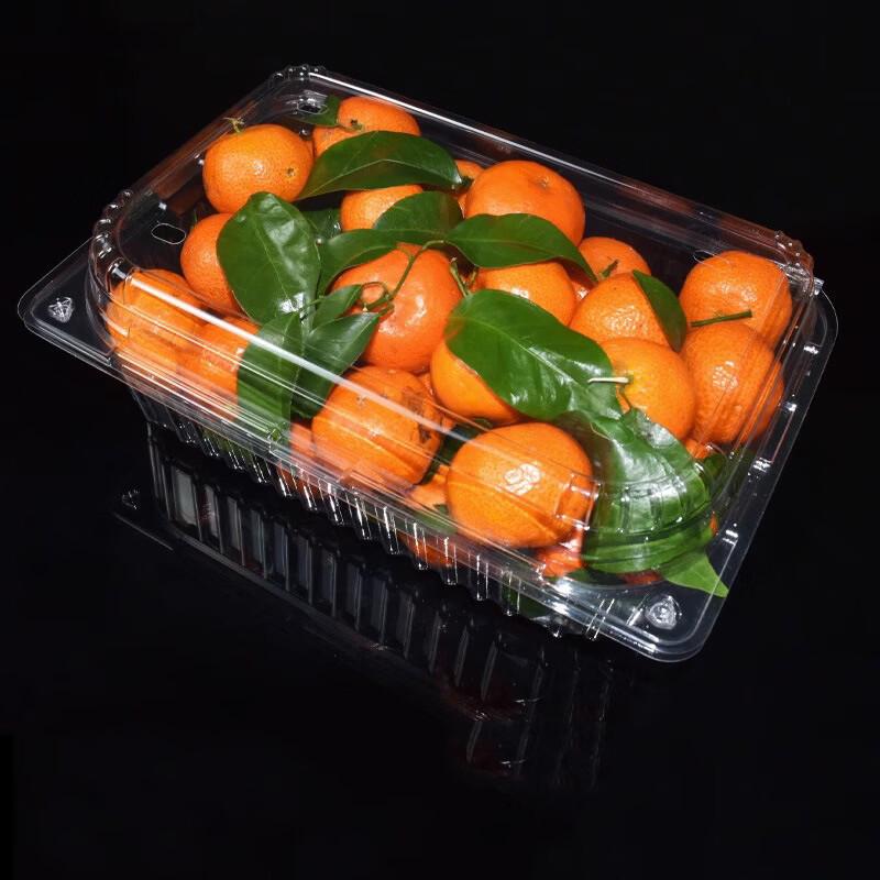 Disposable Fruit  Vegetable Packaging Box
