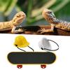 1 Set Lizard Helmet Sturdy Easy to Put on And Take Off Elastic