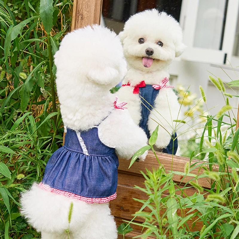 Classic Denim Dog Dress Teddy Bichon Female Dogs Pet Clothing
