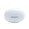 SMEBERT D18 True Wireless Noise-Cancelling Earbuds