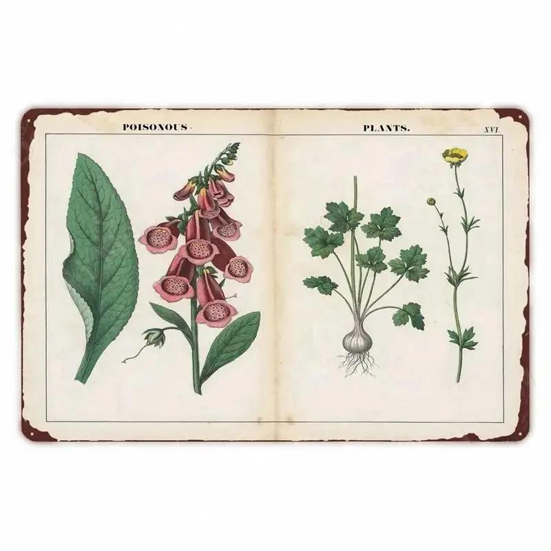 Retro Vegetable Plants Poster Vintage Fruits Metal Tin Sign Cauliflower Wall Art Sign Garden Kitchen Farm Flowers Plate Decor