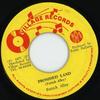 7inch Record PATRICK ALLEY  Promised Land NONE Village Records 1977 Jamaica Reggae Ska  Dub Used