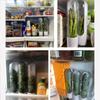 Herb Saver for Refrigerator Fresh Herb Keeper Pod Containers Cilantro Parsley Asparagus Keeps Vegetables Fresh for 2-3 Week
