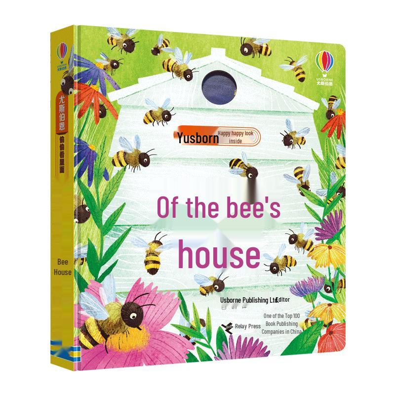 Usborne Look Inside Series