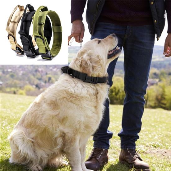 pet tech bark collar