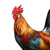Rooster Animal Statue Stakes Garden Creative Lifelike Sign Weatherproof Art Chicken Sculpture