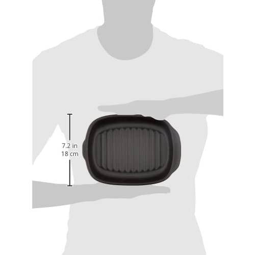 Ishigaki Grill Plate, Heat-Resistant Ceramic, 23.8cm Wide x 17cm Deep x 4cm High, Fish Grill, Microwave Safe, Grill Master Plus, Includes Recipes, Pro