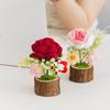 Hand-woven Crochet Flowers Potted Artificial Flower Table Decor Wedding Gift Photography Props Kintted Plant