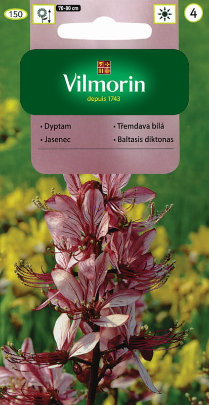 Diptam Moses Bush rosa frø 0,2g - VILMORIN