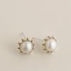 925 Silver Freshwater Pearl Earrings Agatha