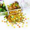 1 Set Star Glitter Nail Art Sequins 12 Grids Holographic Star Nail Charm Foils DIY Nail Design Crafts Manicure Decoration