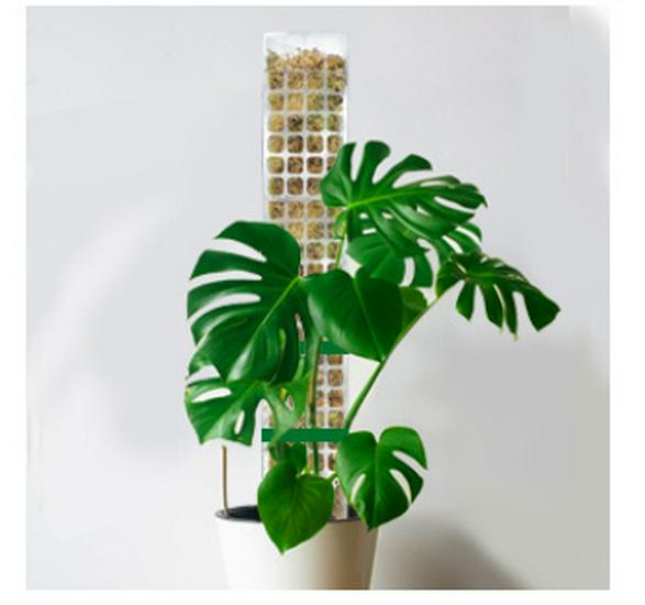 EOX 60CM Plant Support: Moss Pole Climbing Vine Bracket for Potted Plants