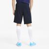 Puma Team Goal 23 Logo Embroidered Lace-Up Straight Leg Casual Shorts Men shorts Blue 656981-06