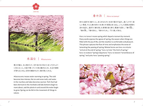 100 Beautiful Words In The Way Of Tea