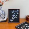 Handmade Butterfly Photo Frame DIY Kit - Specimen Storage & Desktop Display