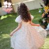 Fuluomi Girls' Sweet Sequin Mesh Princess Dress