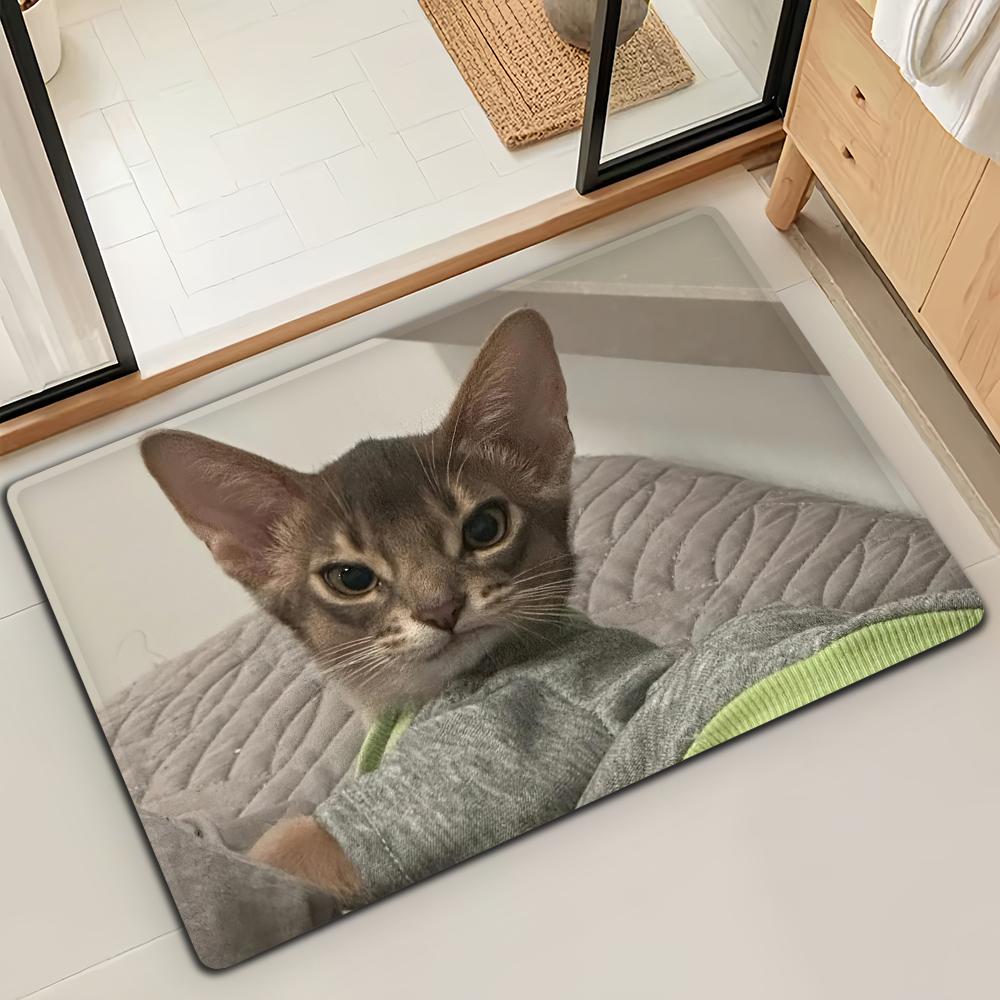 

Cute Cartoon Kawaii Cat Door Mat Bath Microfiber Decorative Versatile Flannel Floor Mat Quick Dry Absorbent Non-slip Sole 40cm x 60cm