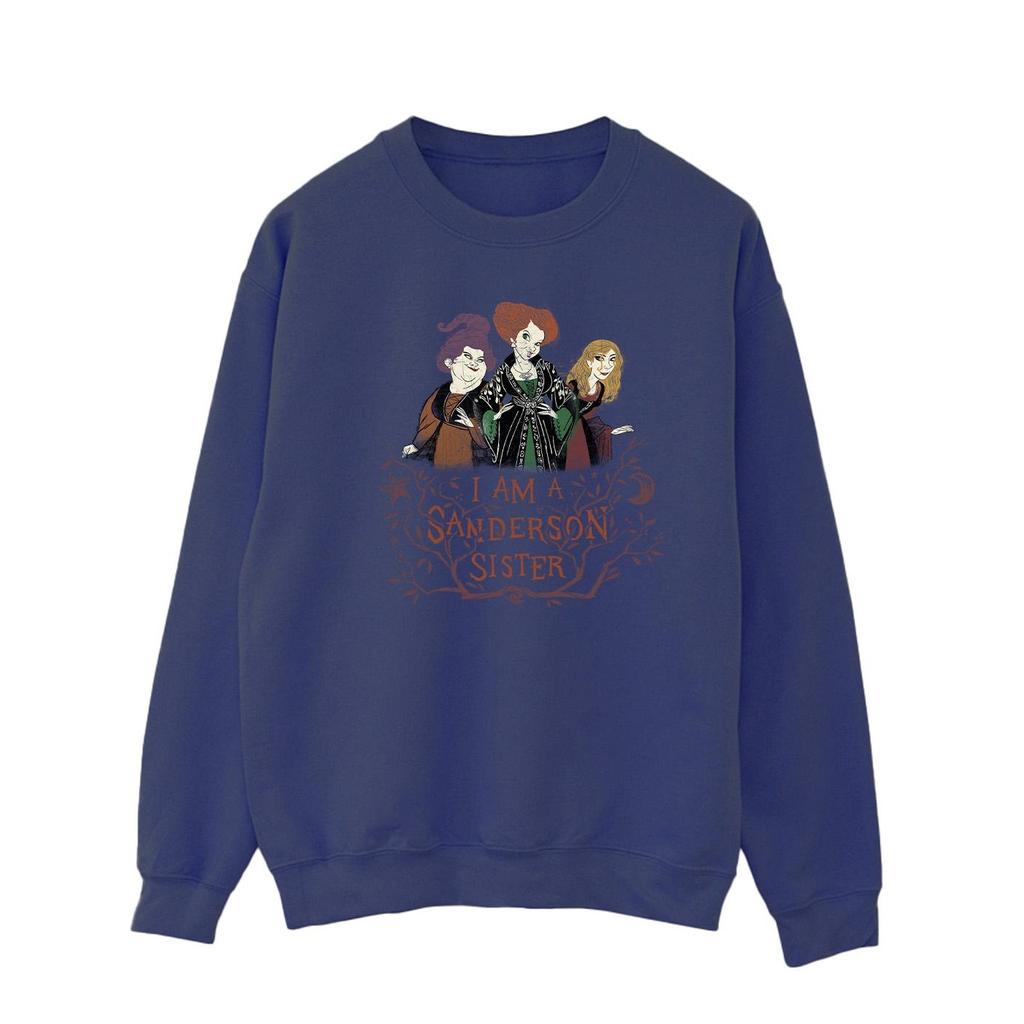 Disney Mens Hocus Pocus Sanderson Sister Sweatshirt