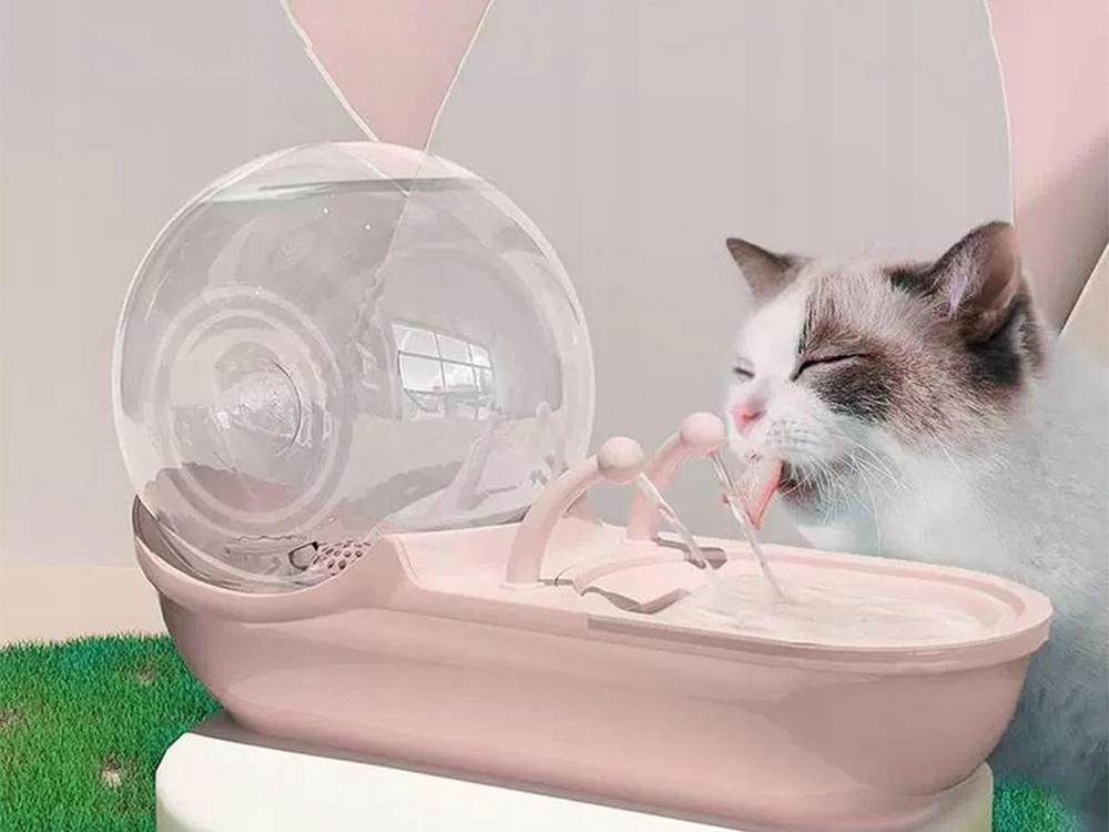 Pet Water Dispenser (15)