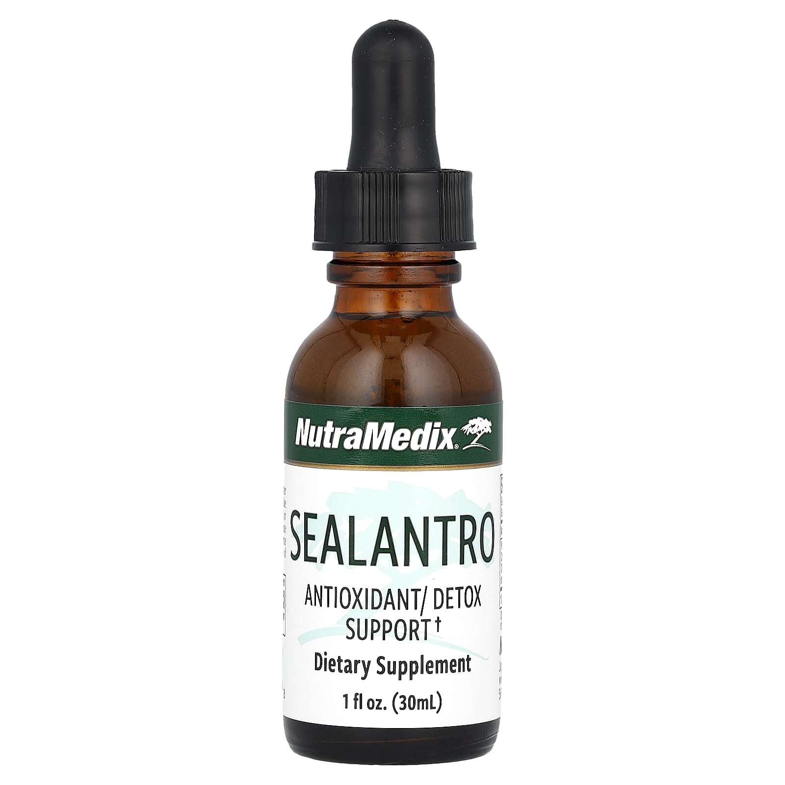 

Cilantro, 30 ml (1 fl oz)