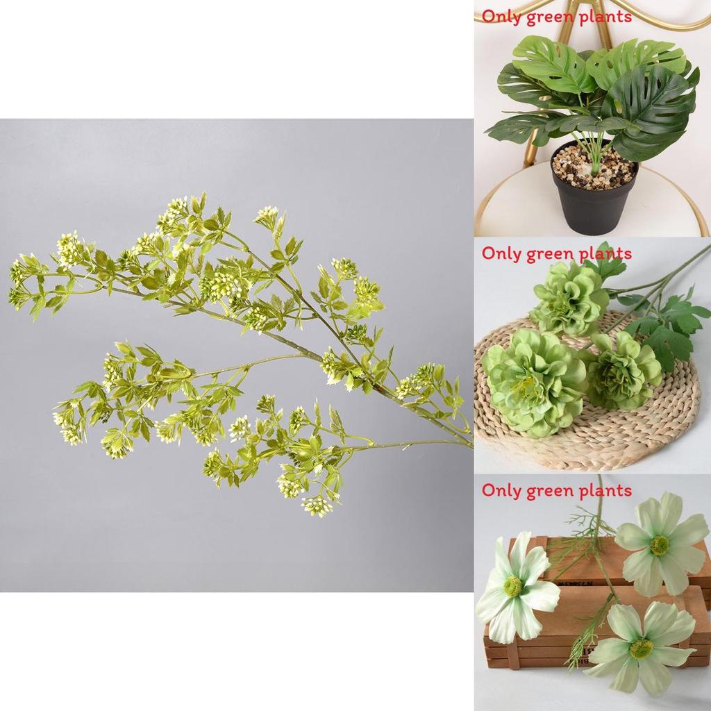 Liebm Deliciosa Monstera And Eucalyptus Citriodora Hook Green Decor Plants