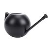 Watering Can for Outdoor Indoor Plants, Small 1000ML Stainless Steel Watering Pot with   Spout, Removable Nozzle, Metal Water Can for House Plant