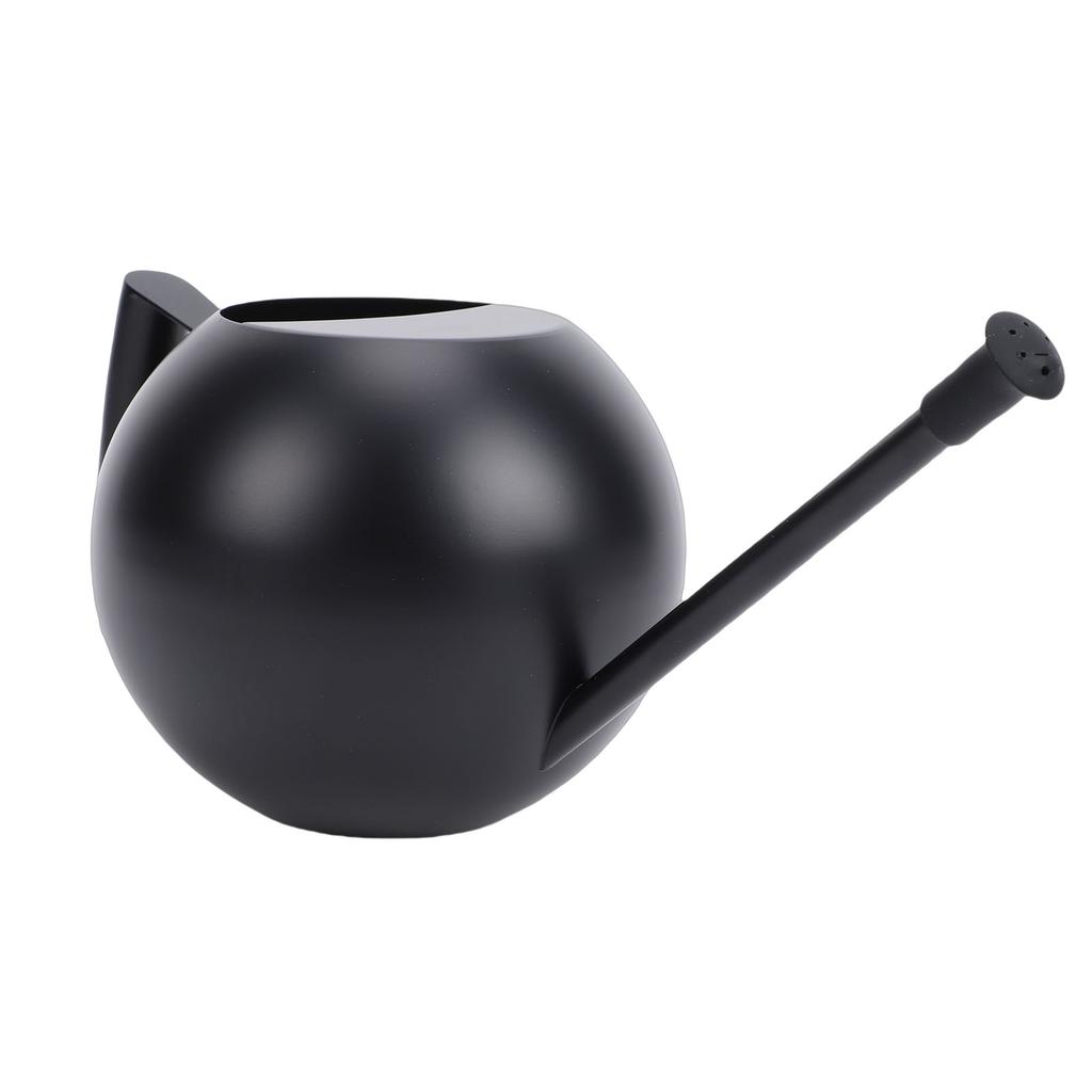 Watering Can for Outdoor Indoor Plants, Small 1000ML Stainless Steel Watering Pot with   Spout, Removable Nozzle, Metal Water Can for House Plant