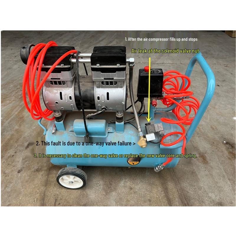 Oil-Free Silent Air Compressor Accessory Kit: Check Valve, Core, Double-Head Solenoid, Coil Hose, Elbow
