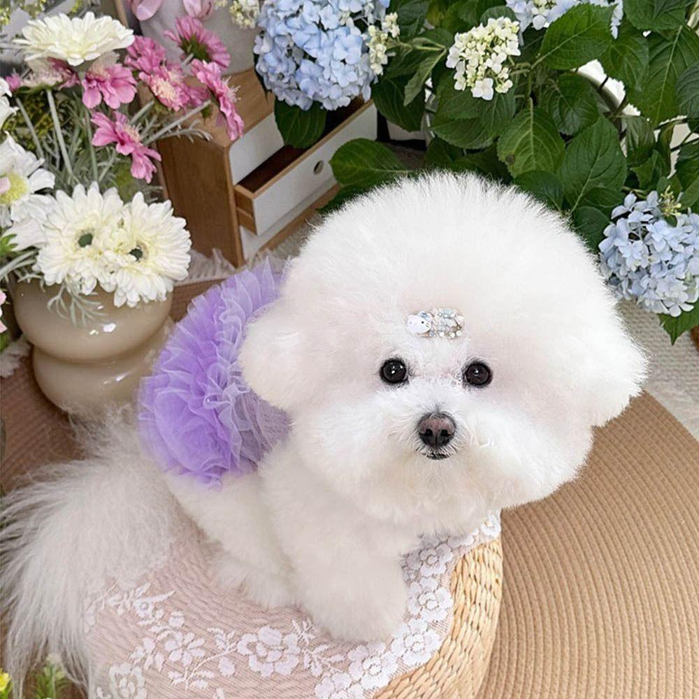 Thin Design Dog   Princess Dress Lace Cat Dress Fashion Dog Summer Dress  Puppy Apparel