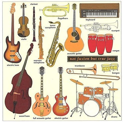 

CD JACO PASTORIUS - Not Fusion But True Jazz SICJ232 Japan ObiJazz Used