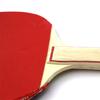1 Sada Pálka na stolní tenis Ergonomická rukojeť Jemná textura Hladký okraj Přenosná Pohodlný úchop Pálka na stolní tenis Ping-Pong