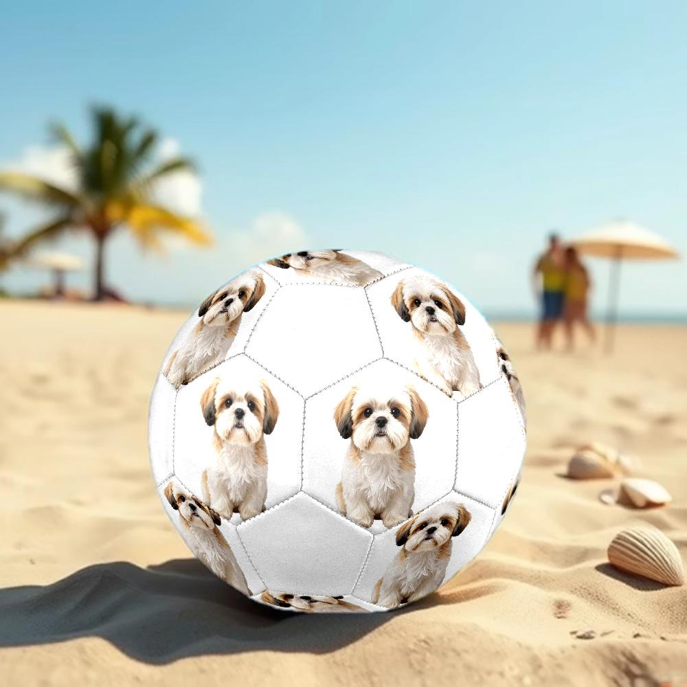 Cute Puppy Indoor Size 5 Soccer Ball Colorful Machine Stitched PVC Competition Ready Durable High-Bounce
