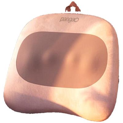 PANGAO Waist S5 Multifunctional Massage Cushion CN Plug (adapter Included)