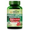 Vlados Berberin 98% Kapseln 750 mg mit Mariendistel Kräuter Stoffwechsel Wohlbefinden Nahrungsergänzungsmittel 60 Stück