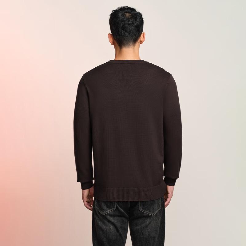 HLA H-Connect POWER YOUNG Men's Round Neck Knit Sweater