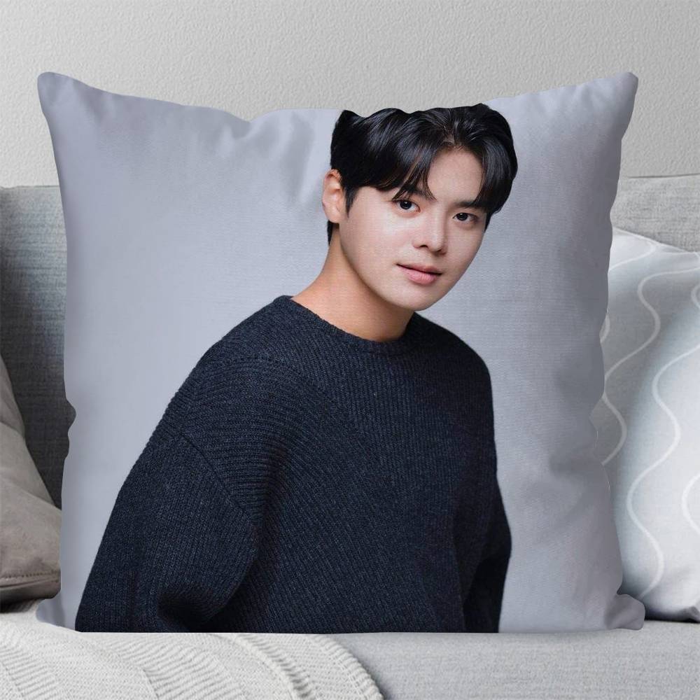 Korean Celebrity RRyeo Un Pillow Case Fashion Square Pillowcase Bedroom Sofa Room Ins Decoration Leisure