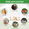 Wooden Chicken Swing Toy Parrots Perch Stand Hanging Bird Cage Accessories for Macaw Cockatiels Conures Finches Chicken Toys