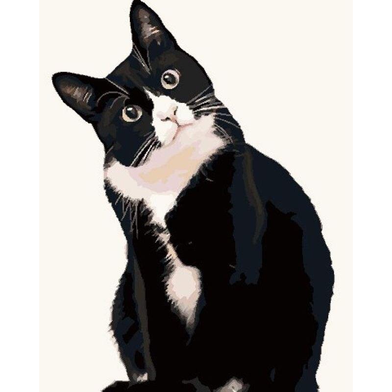 Full Drill Square&;Kulatý diamantový obraz Black Faced Cat Diy Sale Výšivka Animal Home Decoration dárek