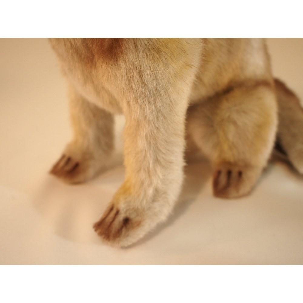 Hansa Wolf Cub 30