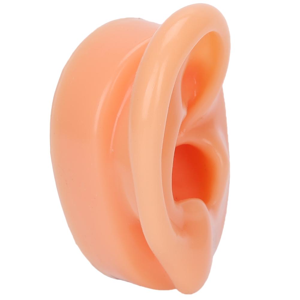 Silicone Right Ear Model Simulation Artificial Ear Display Model for Hearing Aids
