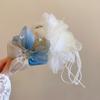 Acrylic Mesh Flower Butterfly Fringed Hairpin Exquisite Fashion Grab Clip Super Fairy Temperament Hair Accessories Woman
