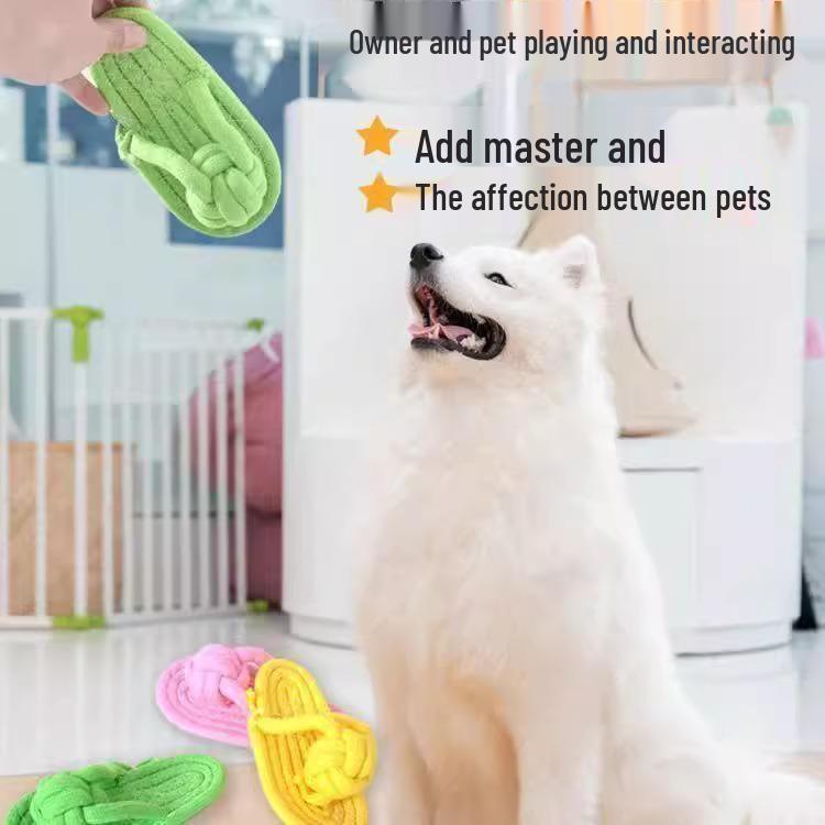 Kousání odolná uzlová hračka z lana pro malé až střední rasy - Hra ve tvaru kosti pro Teddyho a bišonka