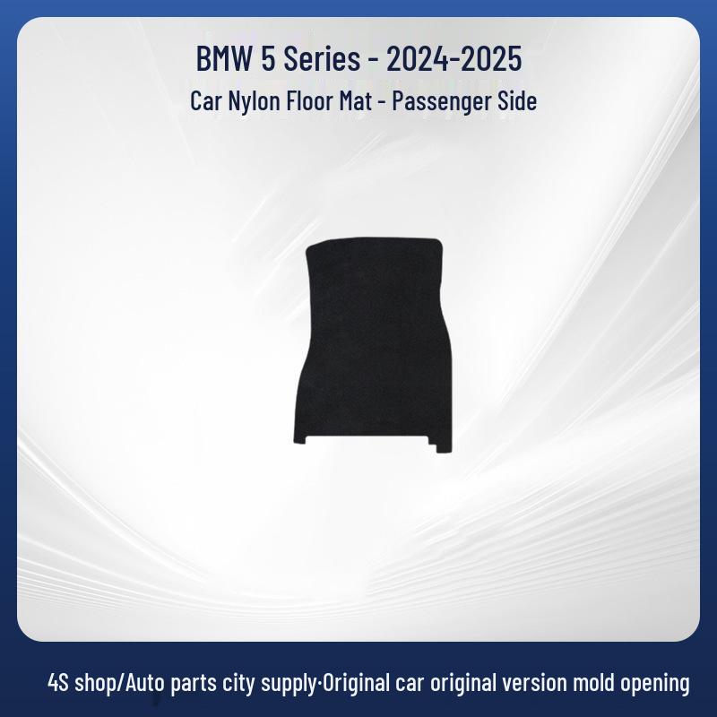 Eco-friendly Nylon Floor Mats for BMW 5 Series (Brilliance BMW 24-24) - Black Car Mats