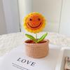 DIY Flower Potted Crochet Kit with Video Tutorials Hand-Knitted Cute Plant Wear Resist for Home Room Decor Desktop Ornament