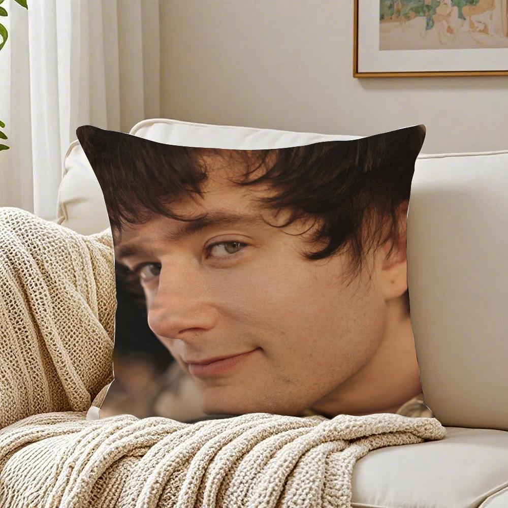 Singer AAlec BBenjamin Cushion Cover Pillowcase Antidustmite living Room Sofa Decor Cushion Room