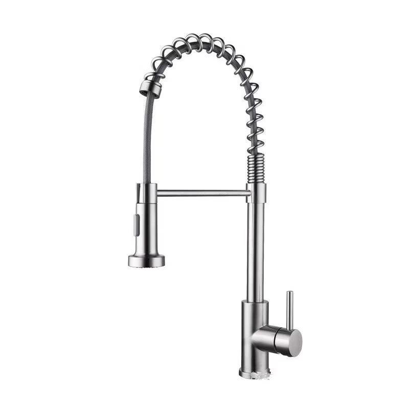 TLXT Stainless Steel Pull-Out Spring Kitchen Faucet