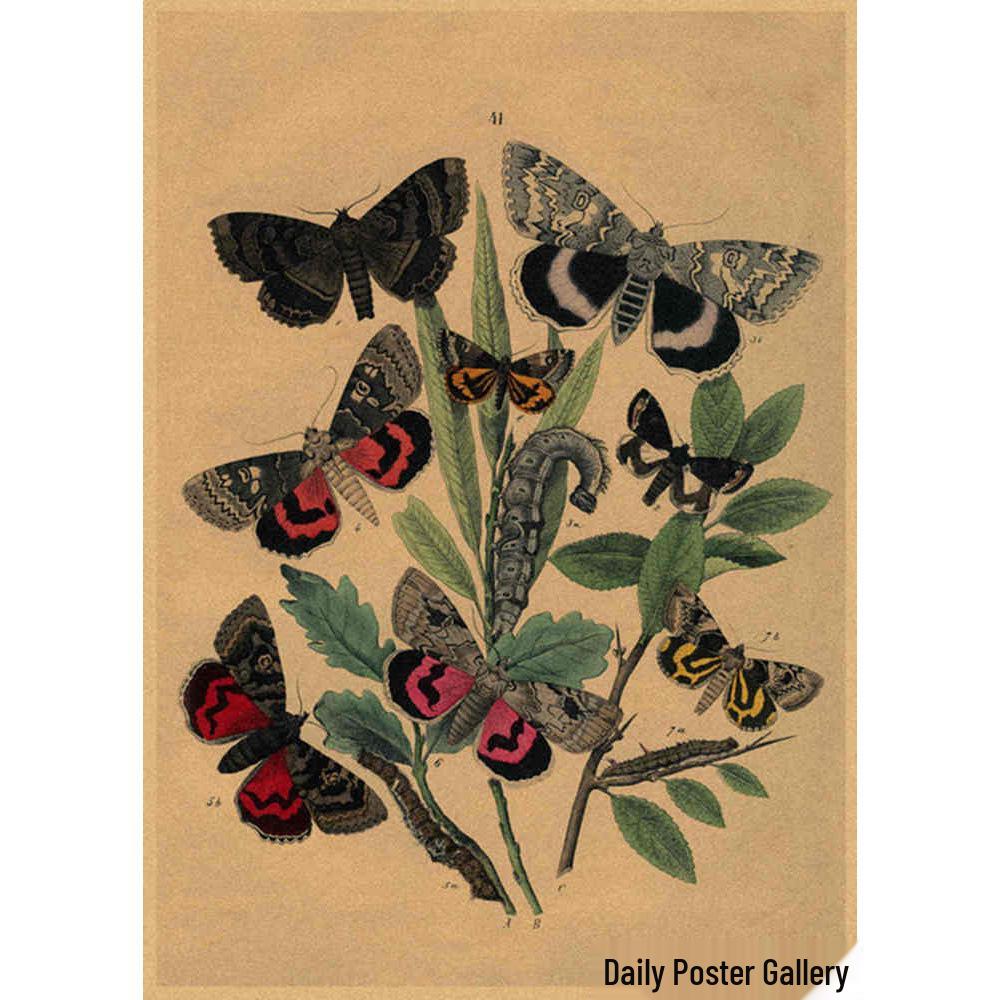 Retro Schmetterlings-Illustrationsposter: Handbemalte Tier-Wandkunst im Vintage-Stil, europäisch & amerikanisch