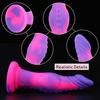Dildo Hračka Realistické Zvýšení Climax Tekutý Silikon Funkční Falešný Penis Zásobování Sex Dildo Páry
