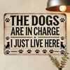 Vintage Tin Sign Funny Dog Wall Decor Metal Poster