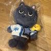 Used RIIZE Little Key Ring WONBIN Tonyandok